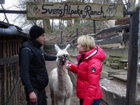 zum Vergrößern klicken