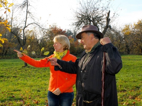 zum Vergrößern klicken 