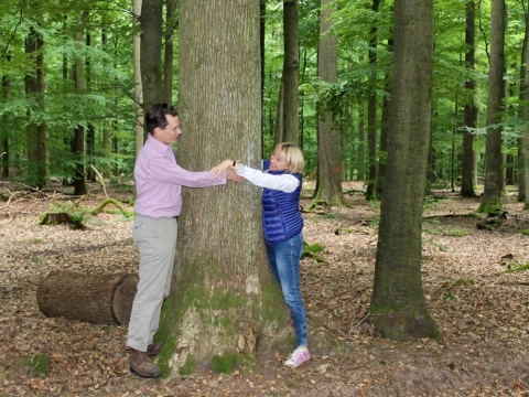 zum Vergrößern klicken