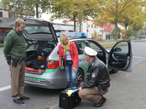 zum Vergrößern klicken