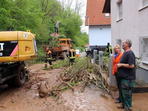 zum Vergrößern klicken