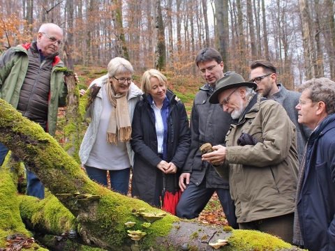 zum Vergrößern klicken