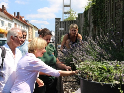 zum Vergrößern klicken