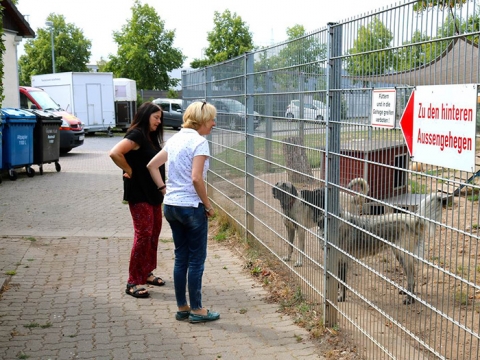 zum Vergrößern klicken