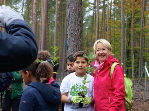 zum Vergrößern klicken