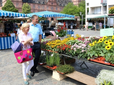 zum Vergrößern klicken