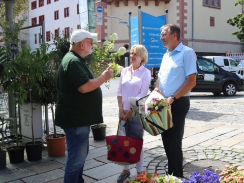 zum Vergrößern klicken