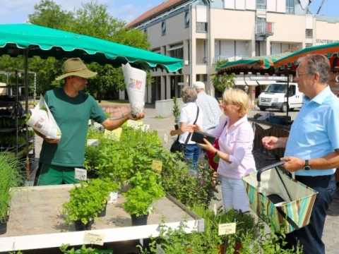 zum Vergrößern klicken