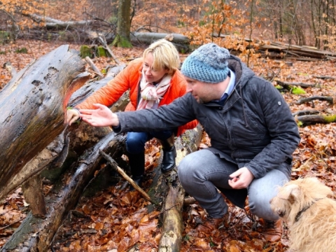 zum Vergrößern klicken