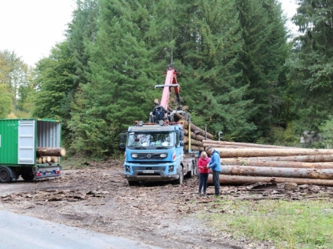 zum Vergrößern klicken