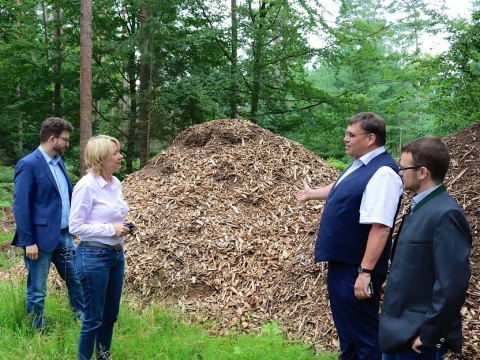 zum Vergrößern klicken